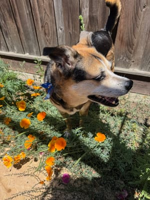 Getting Ready by Living Forward