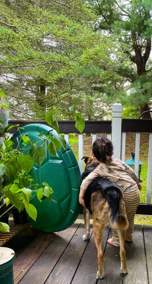 The Practice of Small Experiments