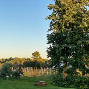 Learning to Carry Seasons With Me: A Geography of Transition