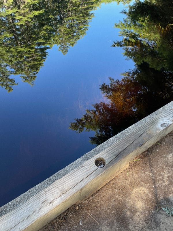 Fishing as Meditation: A Beginner's Guide to Finding Flow Outdoors