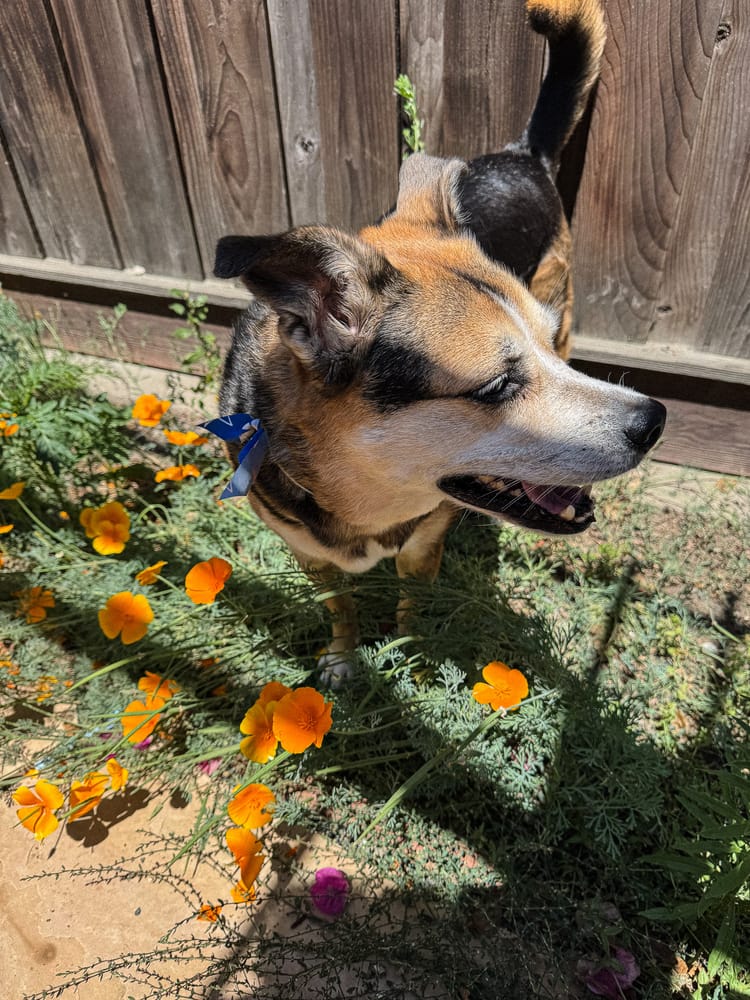 Getting Ready by Living Forward